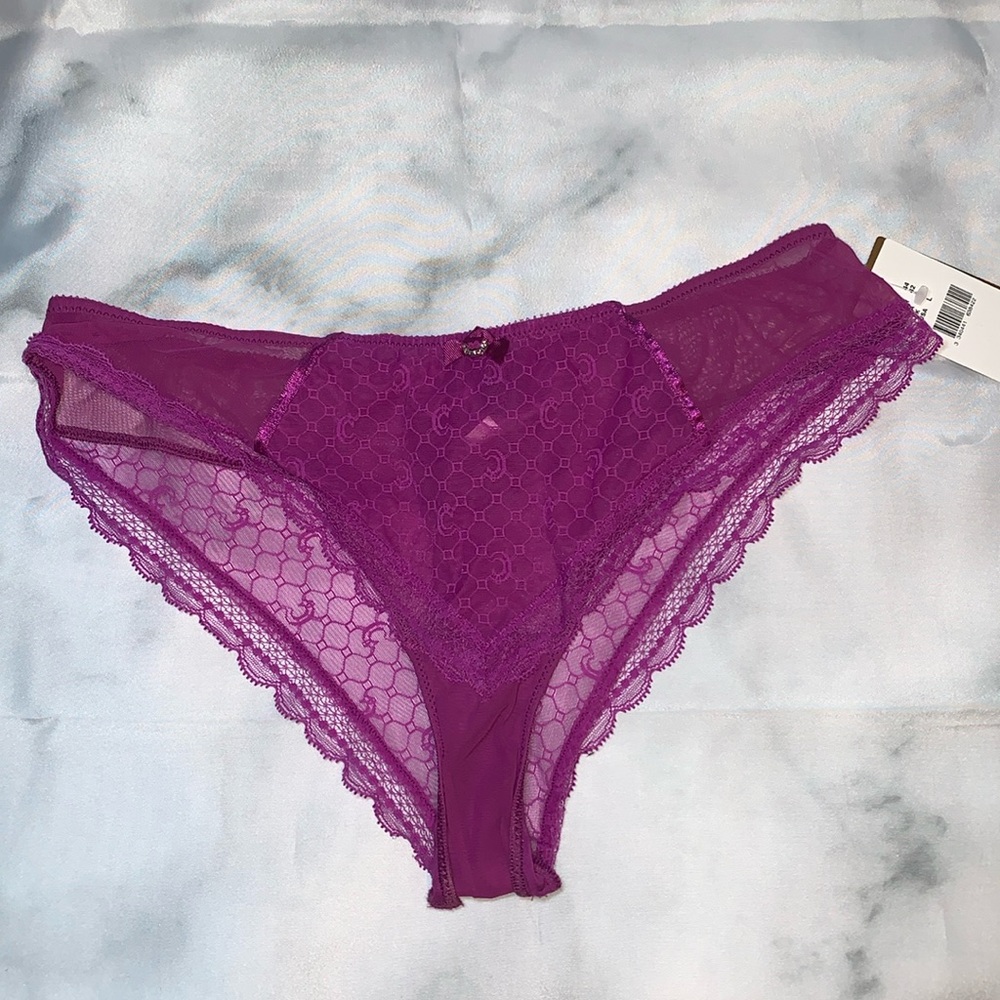 NWT Large Orchid Tanga Chantelle C Chic Tanga Bottoms